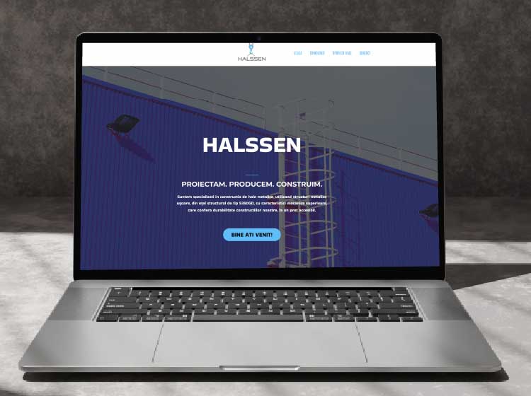 halssen portfolio
