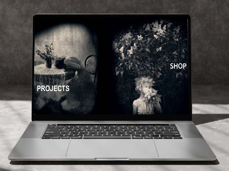 visual iris portfolio of la webdesign